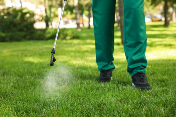 Best Mosquito Control Services  in Onawa, IA