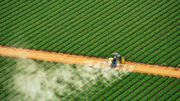 Best Pest Prevention Services  in Onawa, IA